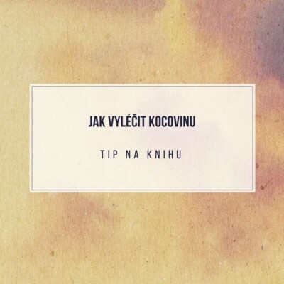 Tip na kompletní manuál: Jak vyléčit kocovinu