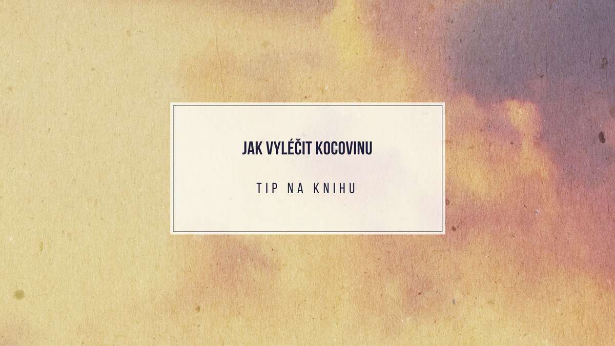 Tip na kompletní manuál: Jak vyléčit kocovinu