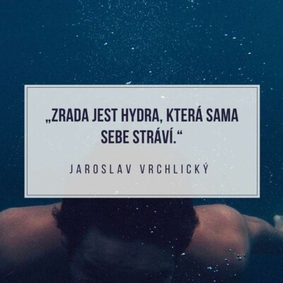 Drahý pitomečku! Aneb Božena vzkazuje: