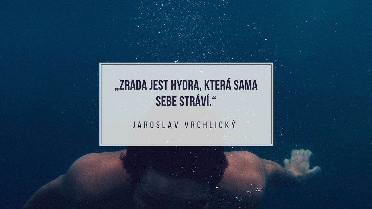 Drahý pitomečku! Aneb Božena vzkazuje: