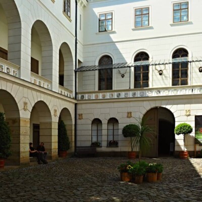 Z výletu: Fík v Dogvillu a zámek Lysice