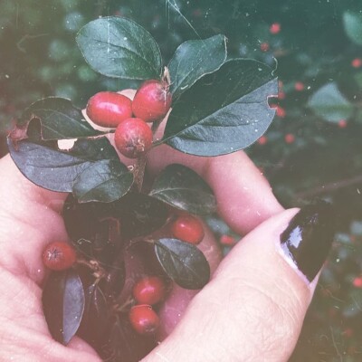 Inspirativní: Jak najít krásu i tam, kde není