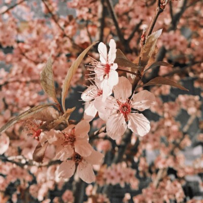 Ze života: Když překročíš bludný kořen