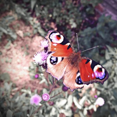 Jak být šťastnější: Změň úhel pohledu