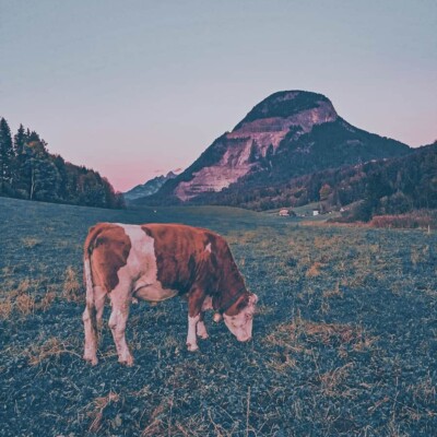 Alternativní cestování: 6 tipů jak víc cestovat a užívat si dovolené častěji