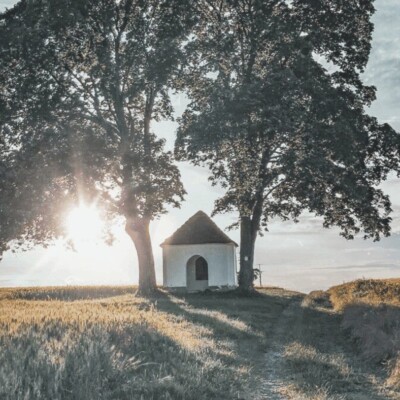 Inspirativní: Jak ustát životní bouři? Mít pevné kořeny a víru v dobré.