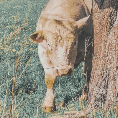 Proč je nevěra doménou slabochů a jak žít vztah charakterně