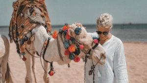 dovolená v egyptě velbloud